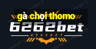 gà chọi thomo