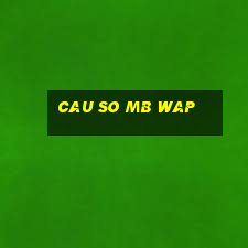 cau so mb wap