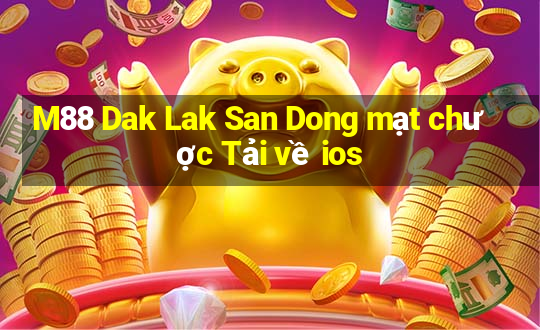 M88 Dak Lak San Dong mạt chược Tải về ios