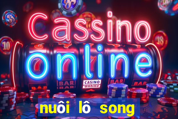 nuôi lô song thủ khung 2ngay