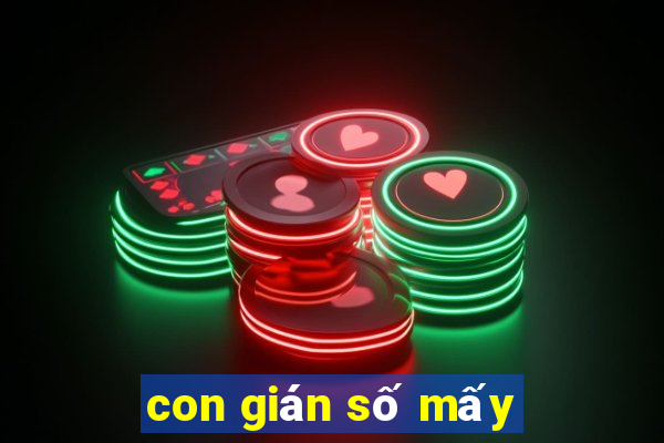 con gián số mấy