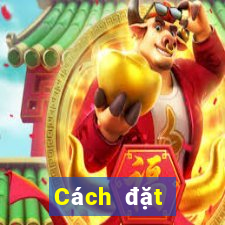 Cách đặt cược XSQB ngày 16