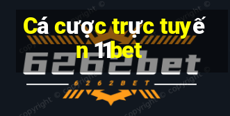 Cá cược trực tuyến 11bet