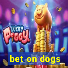 bet on dogs