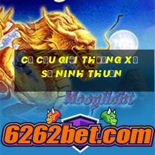 cơ cấu giải thưởng xổ số ninh thuận