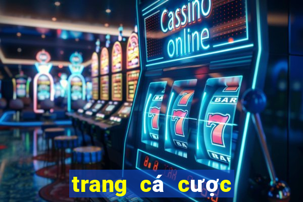 trang cá cược bóng đá cáo việt net