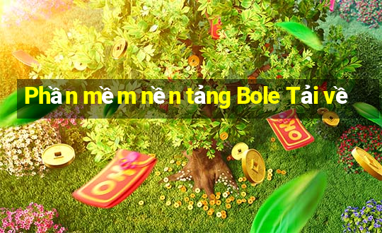 Phần mềm nền tảng Bole Tải về