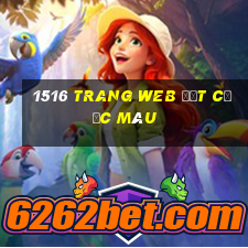 1516 trang web đặt cược màu