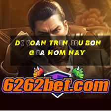 Dự đoán trận đấu bóng đá hôm nay