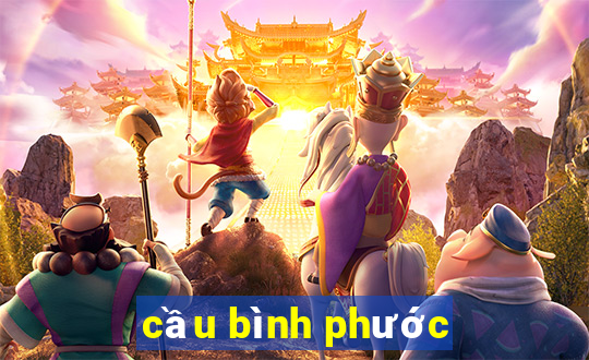 cau binh phuoc