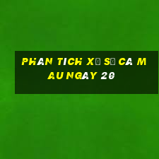 Phân tích Xổ Số Cà Mau ngày 20