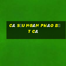 Cá sấu ngàn pháo bắt cá