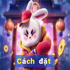 Cách đặt cược XSLA ngày 27