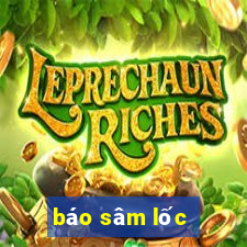 báo sâm lốc