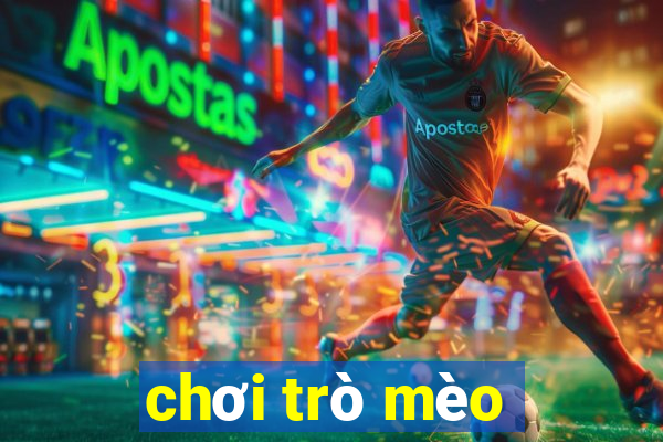 chơi trò mèo