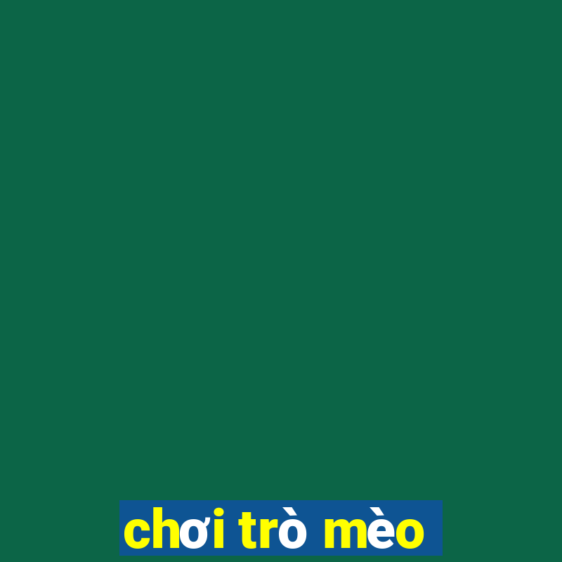 chơi trò mèo