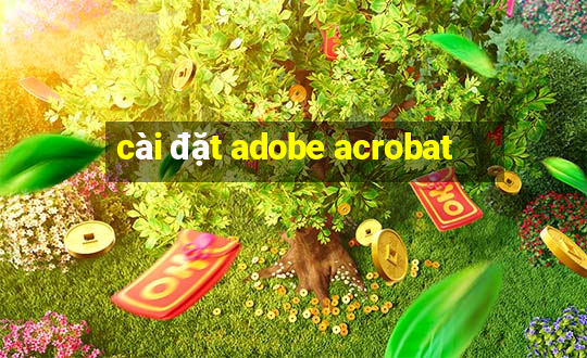 cài đặt adobe acrobat