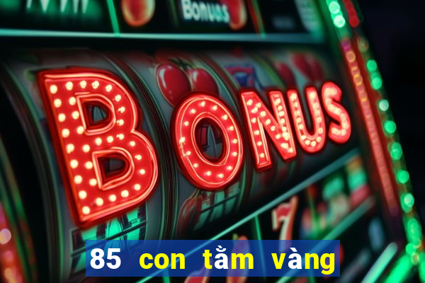 85 con tằm vàng để bắt cá