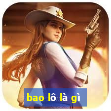 bao lô là gì