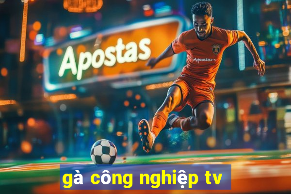 gà công nghiệp tv