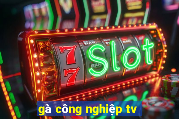 gà công nghiệp tv