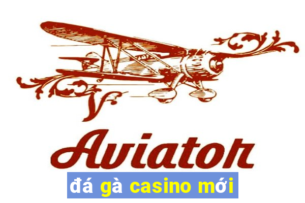 đá gà casino mới