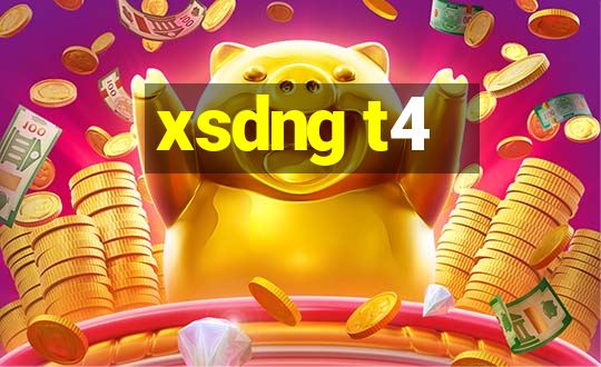 xsdng t4