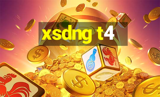 xsdng t4