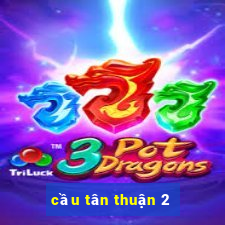 cầu tân thuận 2