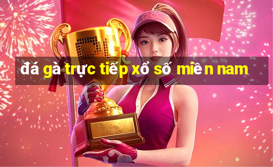 đá gà trực tiếp xổ số miền nam