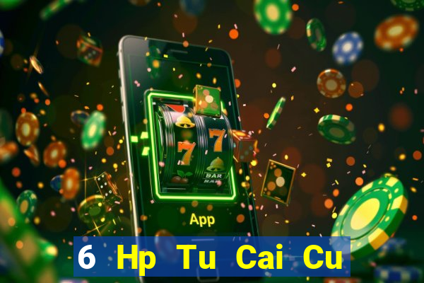 6 Hp Tu Cai Cu Bao Dien