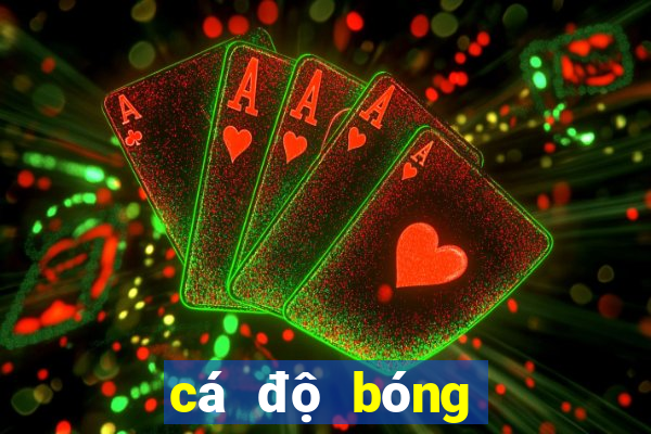 cá độ bóng đá qua mạng có an toàn không