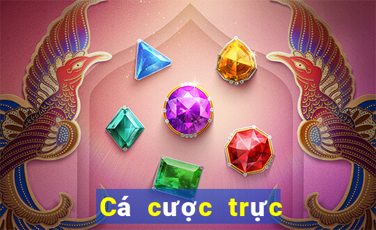 Cá cược trực tuyến lucky88