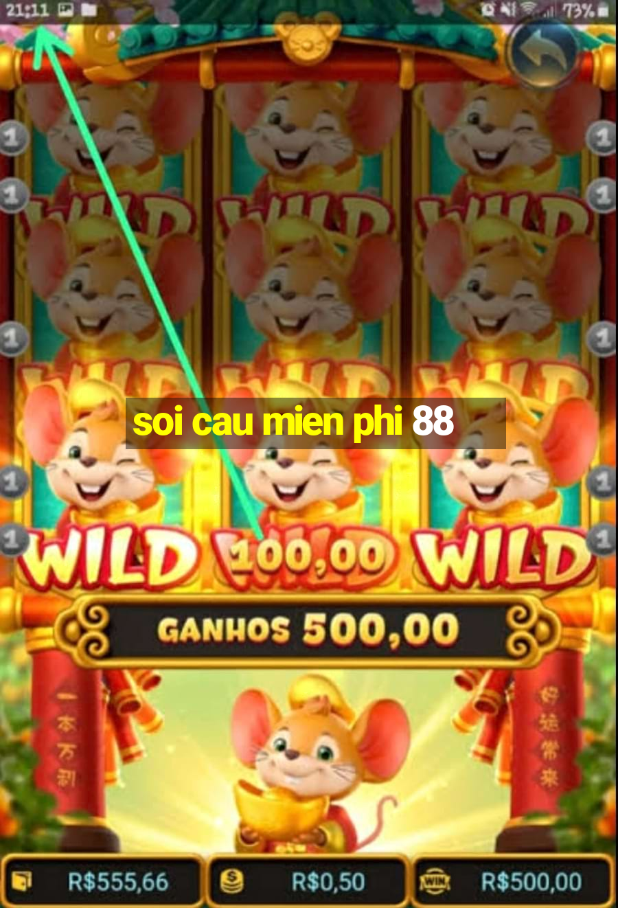 soi cau mien phi 88