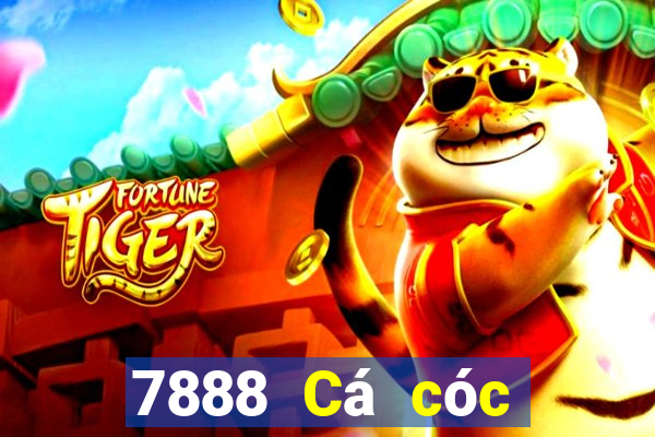 7888 Cá cóc vàng tương tự