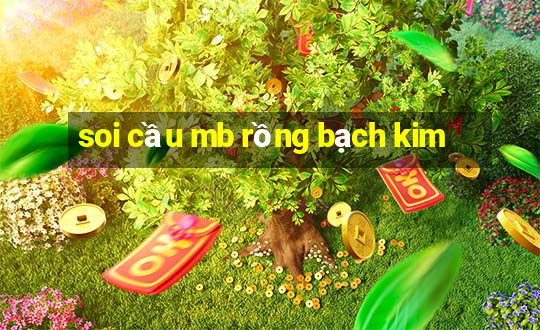 soi cầu mb rồng bạch kim