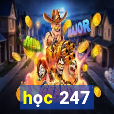 học 247