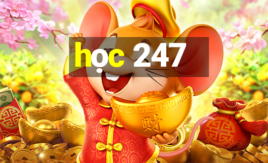 học 247