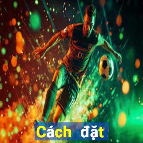 Cách đặt cược XSHCM Chủ Nhật