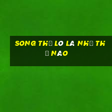 song thủ lô là như thế nào