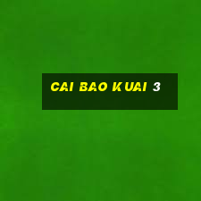 Cai Bao Kuai 3