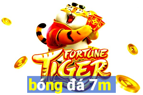 bong da 7m