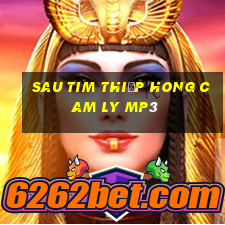 sau tim thiệp hong cam ly mp3