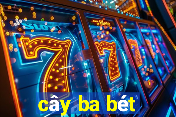 cây ba bét