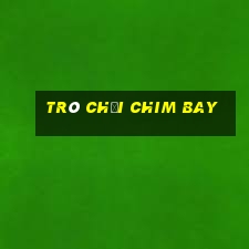 trò chơi chim bay