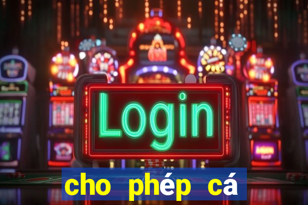 cho phép cá cược bóng đá đua ngựa