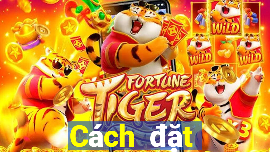 Cách đặt cược XSNT Thứ 3