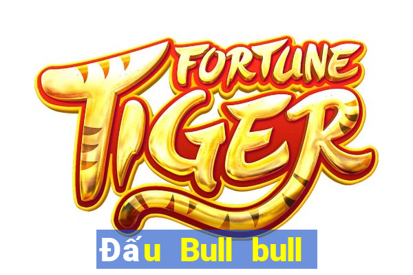 Đấu Bull bull lớn game bài