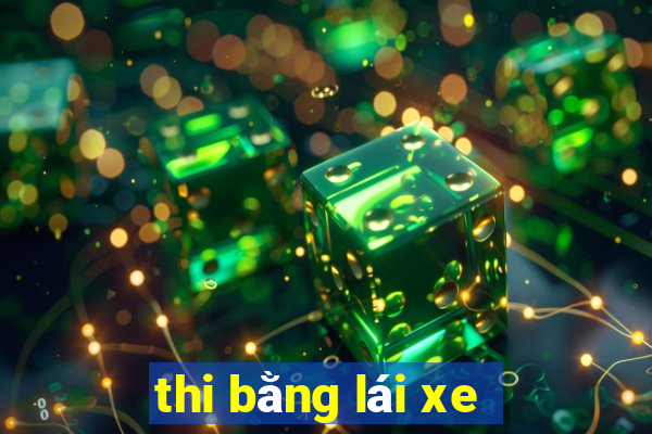 thi bằng lái xe