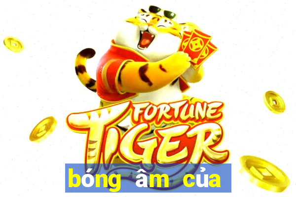 bóng âm của các số